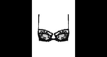 Lise Charmel lingerie Desirs De Venise Balconette BH Zwart ACJ3035