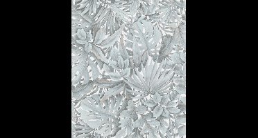 Noordwand Botanica Behang met grote bladeren 33306