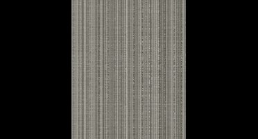 Galerie Boutique Behang met metallic streepeffect - SP-NA6006