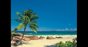 Noordwand Komar Colours Fotobehang Seychellen - 4-006