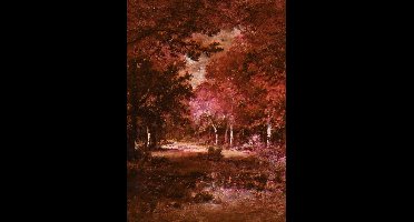 Noordwand Komar Ink Fotobehang Autumna Rosso - INX4-090