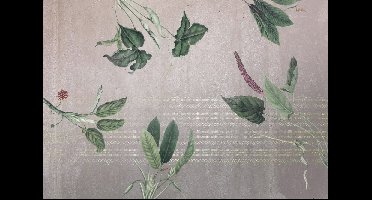 Noordwand Komar Ink Fotobehang Tropic Concrete - INX8-050