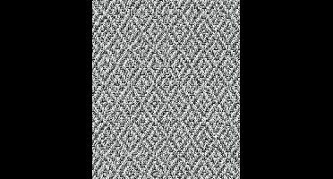 Noordwand Textura Behang met sisal ruit weefsel - 1545746
