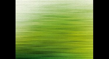 Livingwalls The Wall groen behang | 382611