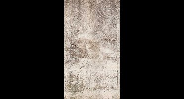 Livingwalls The Wall grijs behang | 383391