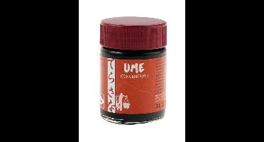 TS Import Ume concentraat 40 Gram