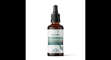Aromedica Gewoon draadwier 1:5 50 Milliliter