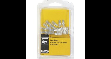 10A zekering (10 stuks)