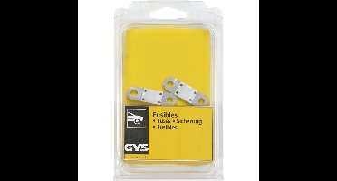 Zekering 125A MIDI (12V-24V) (set 2 stuks)