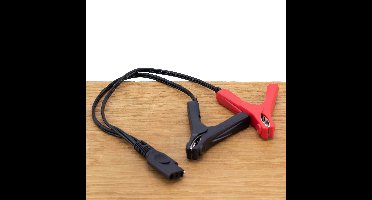 Kabel met accuklemmen voor BT2010 / BT2100 DHC