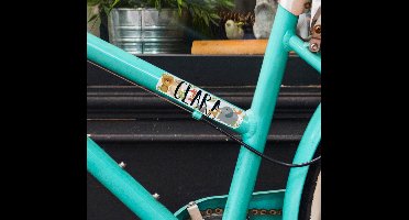 Fiets sticker naam met dieren