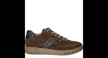 Hartjes Veterschoenen Dames Taupe