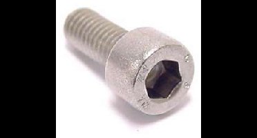 Inbusbout M5x10 Bofix RVS (25 stuks)