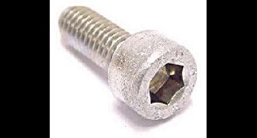 Inbusbout M6x10 Bofix RVS (25 stuks)