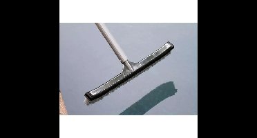 Interline Deluxe Zwembadborstel 45 cm Aluminium/Nylon