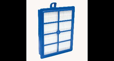 AEG allergy filter AFS1W