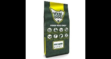 YOURDOG DOGO CANARIO PUP