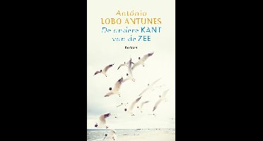 De andere kant van de zee - António Lobo Antunes - ebook