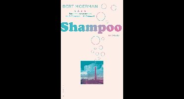 Shampoo - Bert Moerman - ebook