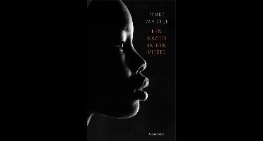 Een nacht in een vijzel - Femke van Zeijl - ebook