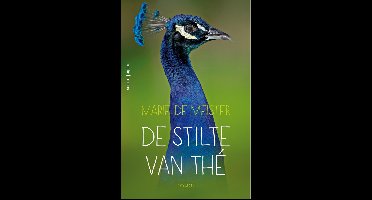 De stilte van Thé - Marie de Meister - ebook
