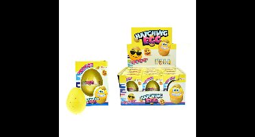 Toi Toys Broed je eigen smiley speeltje