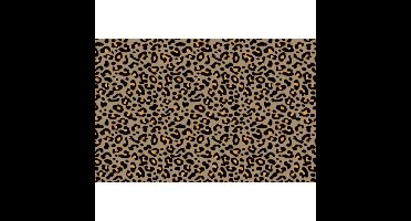 Duni 3-in-1 Leopard 40x480cm