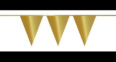 Vlaggenlijn metallic goud 10m