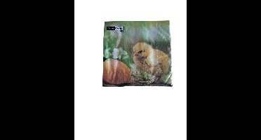 Duni Servetten Chicken with egg 33x33cm