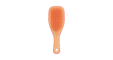 Tangle Teezer The Ultimate Borstel Ultimate Detangler Mini Salmon Pink Abricot 1Stuks