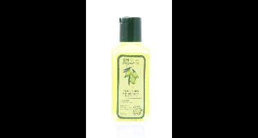 CHI Olie Olive Organics Olive & Silk Hair and Body Oil Haar & Lichaam 59 ml | Voor Alle Haartypen