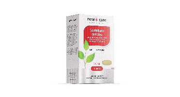 New Care Speciaal Scutellaria Complex Tabletten 90Tabletten