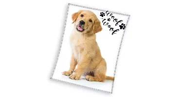 fleece deken Golden Retriever 150x200cm