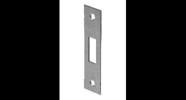 SLUITPLAAT RS P 4328/17
