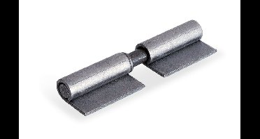 Aanlaspaumelle losse pen met blad 080x8mm
