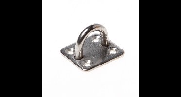 Oog op plaat rvs klein 40x35mm*