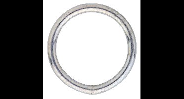 Gelaste ring / 100-10 mm / verzinkt