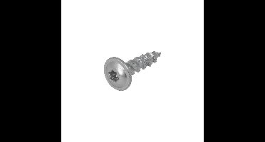 Dynaplus Achterwandschroef Vz Lbk Tx-10 3.0X2