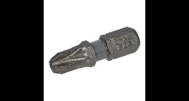Dynaplus schroefbit 25mm pz-3 grijs (10)