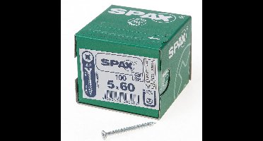 Spax pk pz geg.5,0x60(100)
