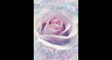 Fotobehang Delicate Rose