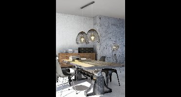 Hanglamp Trio Leuchten Ivar - Nikkel