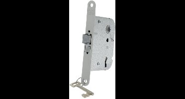 Nemef Dagnachtslot Type 1446 - Verzinkt Stalen Slotkast - Omkeerbare Dagschoot Zonder Slotkast Te Openen - Ronde Nachtschoot - Inclusief Sleutel - 153x18x2,5 mm - Zilver