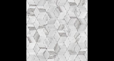 Hexagone 3D kubus grijs modern (vliesbehang, grijs)