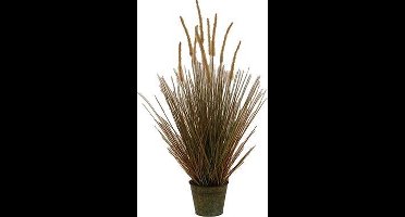 Kunst Stekelkamgras in pot 90 cm - bruin-groen