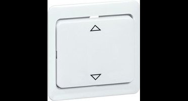 Honeywell Peha standaard Bedieningselement/Centrale Plaat Schakelmateriaal - 00189211 - E28WX