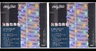 HI Feestverlichting lichtslang - 2x - 100 led lampjes - gekleurd - 5 m - 8 functies - kerstverlichting