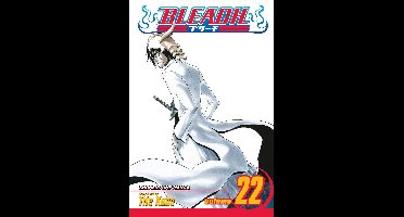 Bleach, Vol. 22