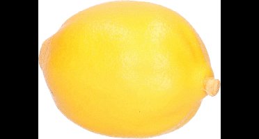 Esschert Design kunstfruit decofruit - citroen/citroenen - ongeveer 6 cm - geel