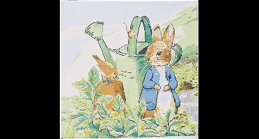 Schilderen op nummer Peter Rabbit and Robin (30x30cm) Craft Budd